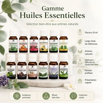 Huile Essentielle d’Eucalyptus Globulus Bio – 10 ml