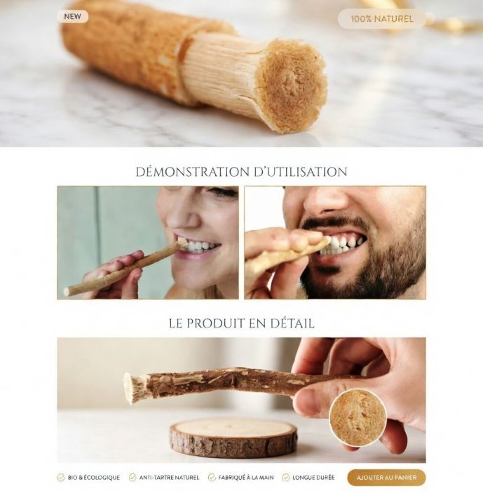 Bâton de Siwak Naturel (Miswak / Meswak) – Brosse à Dents Végétale Salvadora Persica