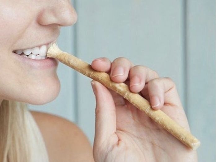 Bâton de MISWAK MESWAK ou SIWAK