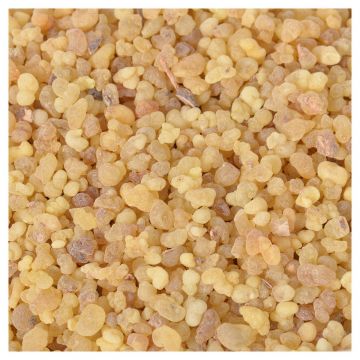 Résine oliban 30 gr