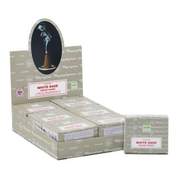 Sauge Blanche californie & Sauge du desert fagot 25g 11cm