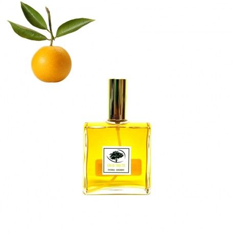 Eau de toilette aux huiles essentielles de Pamplemousse Gingembre 100 ML 