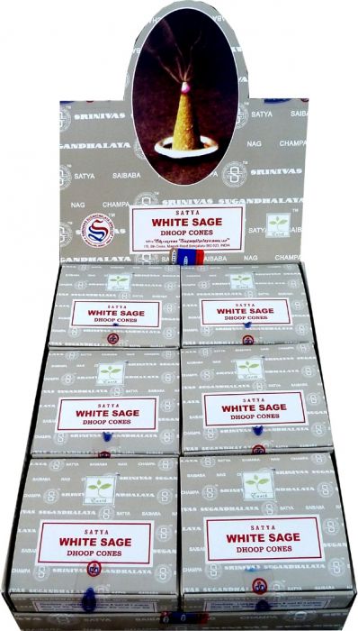 Sauge Blanche californie & Sauge du desert fagot 25g 11cm