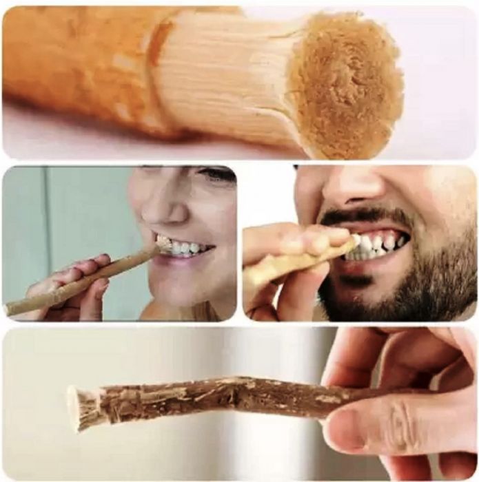 baton de miswak