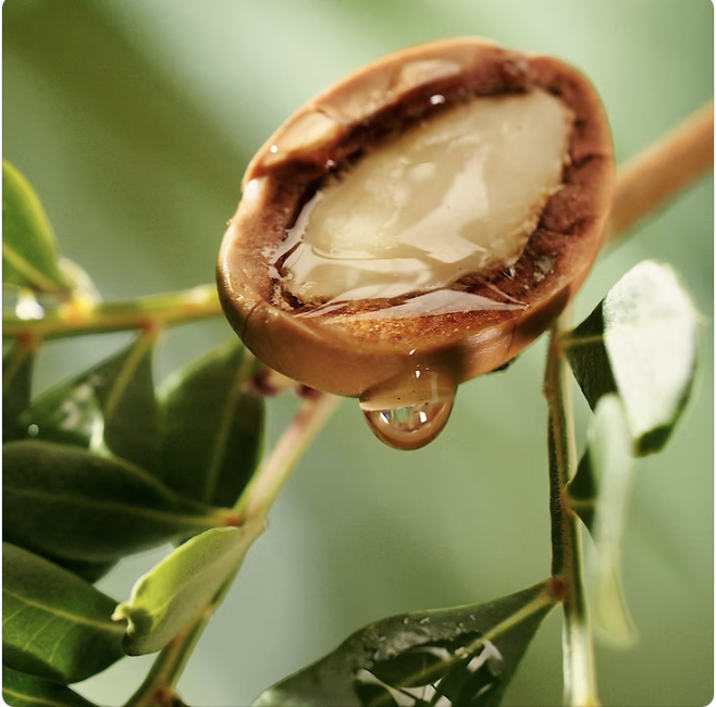Top 5 des bienfaits de l’huile d’argan pour la peau et les cheveux