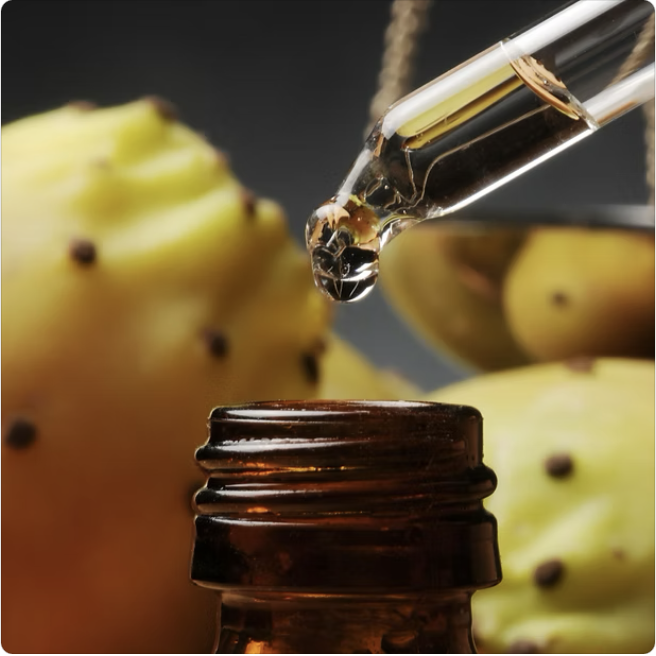 Huile d’argan ou huile de figue de barbarie : laquelle choisir ?