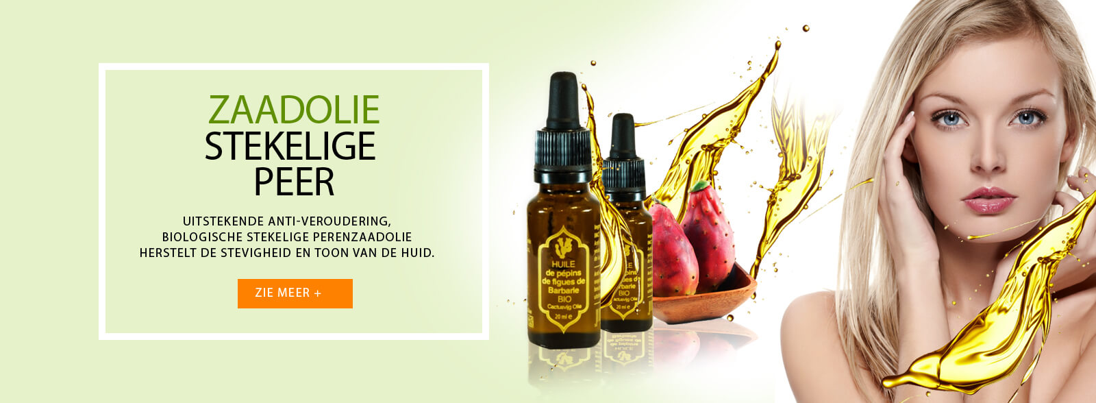 Home Page Slider - Netherlands